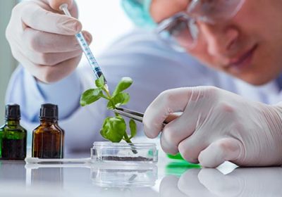 Biotechnology scientist working in the lab Biotechnology scientist working in the lab